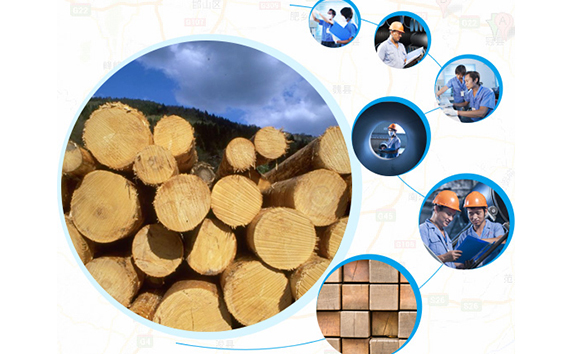 服务区域遍布多地